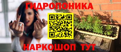 гидра Татарск